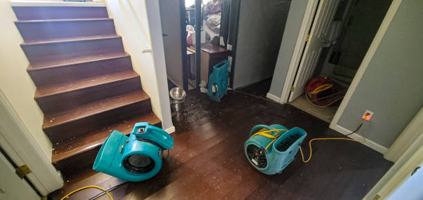 Best Sewage cleanup and water damage restoration  in Columbia, MS
