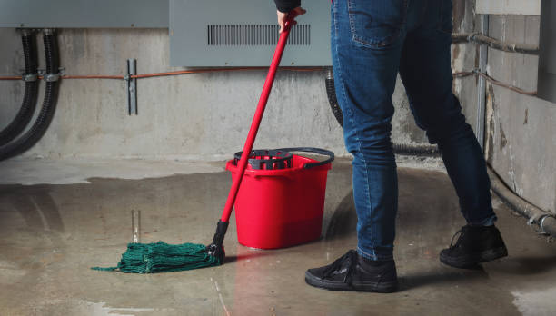 Best Flooded house restoration  in Columbia, MS