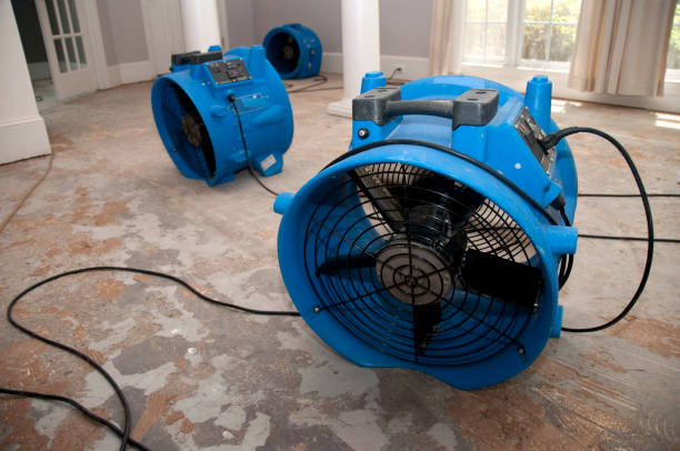 Best Water damage restoration mold remediation  in Columbia, MS