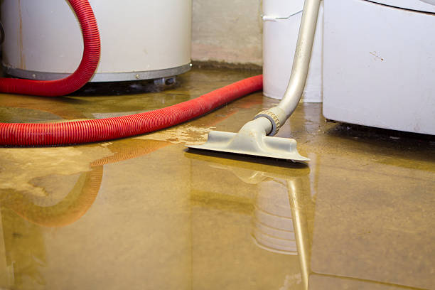 Best Flood damage cleanup  in Columbia, MS