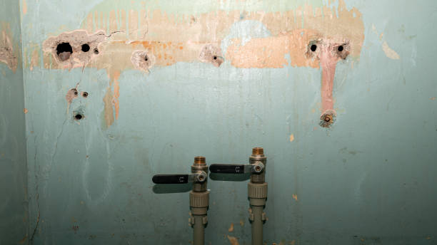 Best Water damage restoration near me  in Columbia, MS