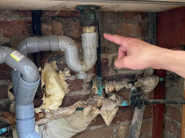 Best Water damage restoration insurance claims  in Columbia, MS