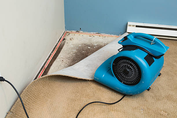 Best Fire Damage Restoration  in Columbia, MS
